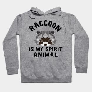 Raccoon is My Spirit Animal Funny Sayings Hoodie